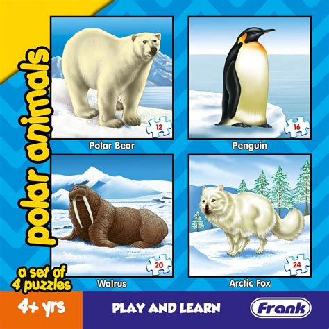 Buy Frank Animal Puzzles for Kids - Polar Animals - Set of 4 Jigsaw ...