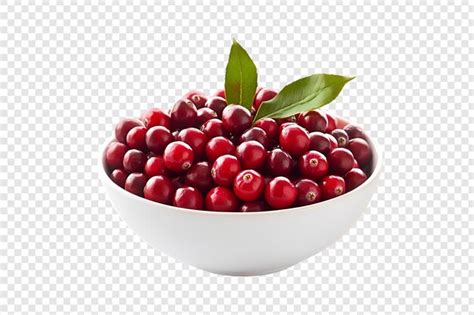 Fresh cranberries with green leaves in a white bowl isolated on a ...