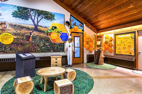 Nature Center 的图像结果