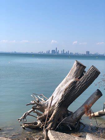 Toronto Island Park - 2019 What to Know Before You Go (with Photos ...
