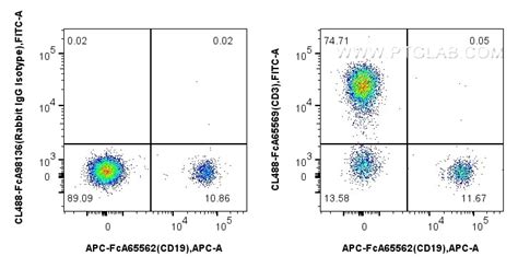 CD3 antibody (CL488-FcA65569) | Proteintech