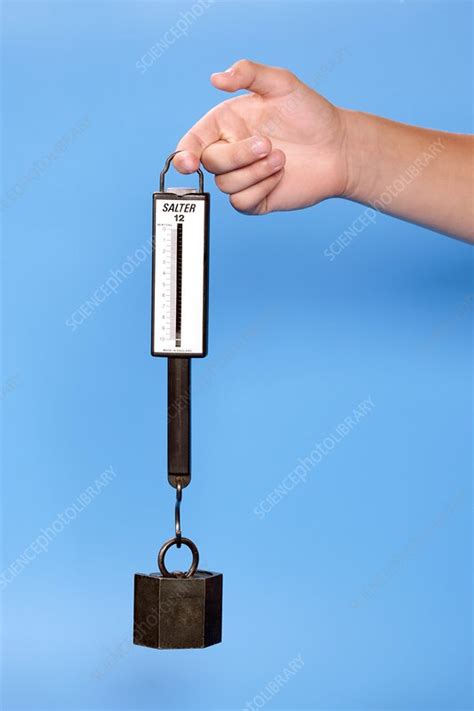 Image result for Spring Loaded Balances for Windows