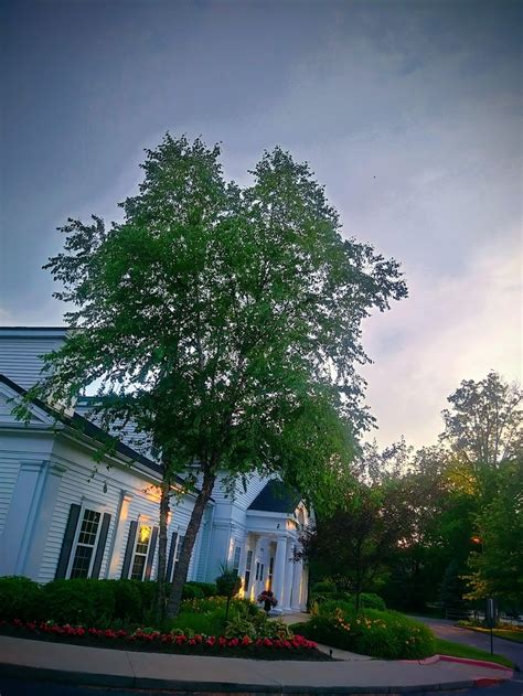 Rae-Ann Westlake in 28303 Detroit Rd, Westlake, OH 44145, USA