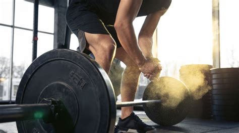 Different Types of Strength Training 的图像结果