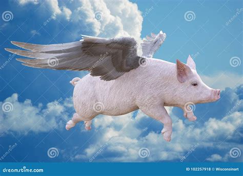 When Pigs Fly, Flying Pig stock illustration. Illustration of wings ...