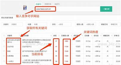 安徽网页优化seo 的图像结果
