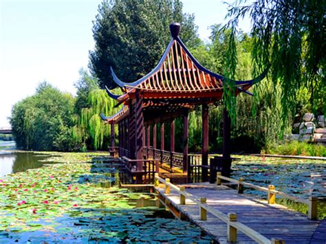 潍坊人民公园-湿地河道绿化-淄博奥景园艺有限公司
