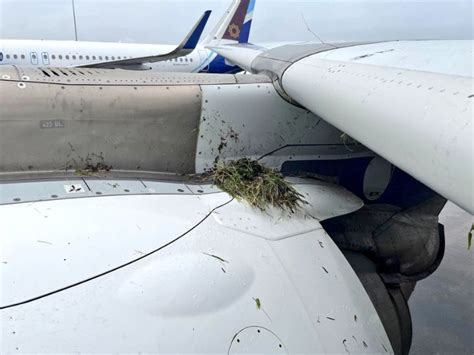 Indigo A321 Tail Strike, Mumbai Airport Landing Attempt | PHOTOS ...