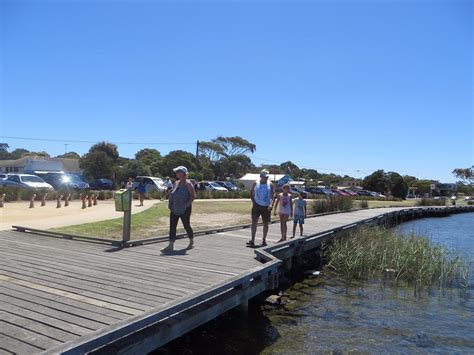 BIG4 Anglesea Holiday Park Pool: Pictures & Reviews - Tripadvisor