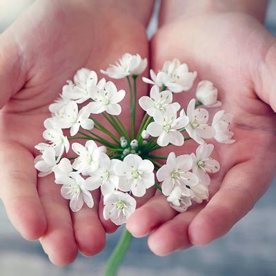 Obituaries In Lexington - South Carolina - It is with deep sorrow that ...