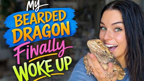 After 4 months my bearded dragon is finally awake