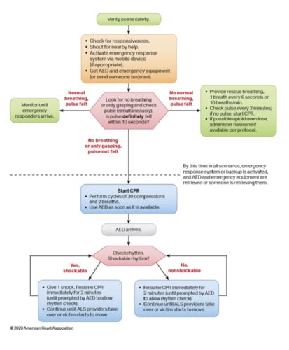 Image result for Tachy Algorithm ACLS