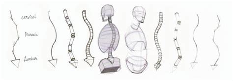 A Guide to Figure Drawing — Mango