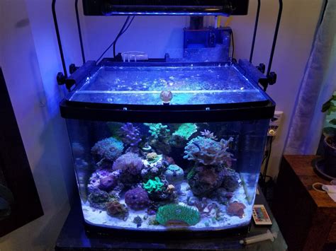 Image result for BioCube Filter Setup