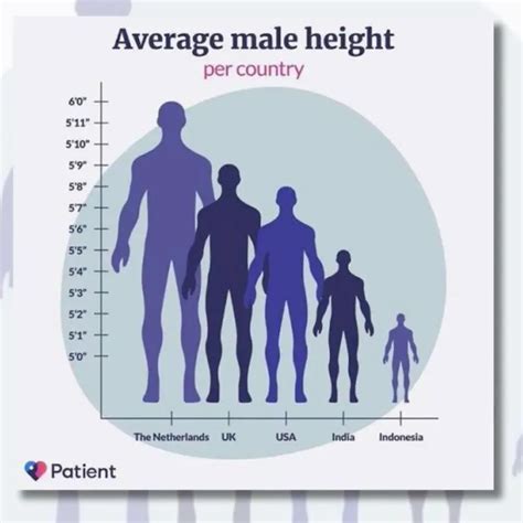 Damn this height chart is amazing : r/tall