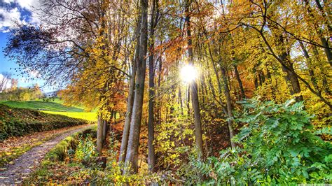 Environment Desktop Wallpaper 的图像结果