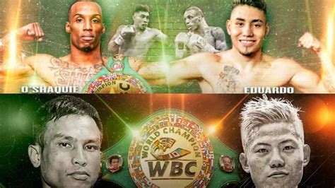 Title Fight Boxing 的图像结果