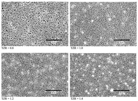 Protection of α-Tocopherol from UV-Induced Degradation by Encapsulation ...