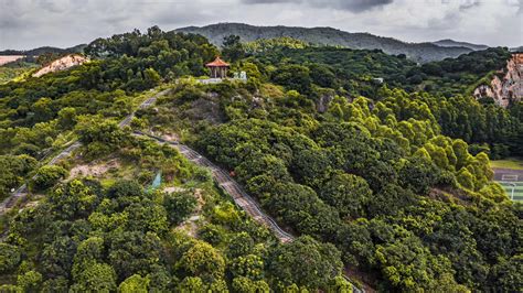 广东红色“物”语|大岭山抗日根据地：东江纵队“根据地的根据地”