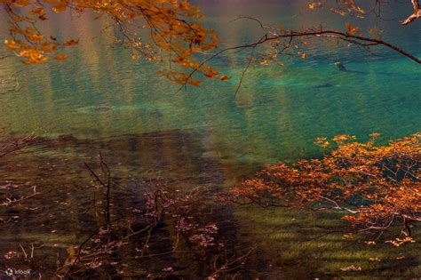 [China Railway Tour] Chengdu & Jiuzhaigou High-Speed 1-Day Tour (Round ...