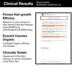 Best Rosemary Essential Oil for Hair Growth from Top Brand in India ...