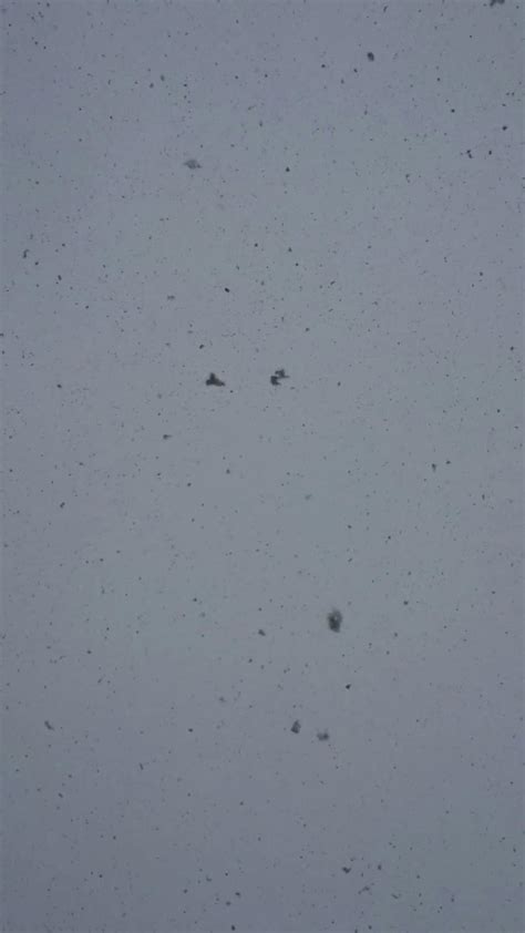 Snow Falling HD 的图像结果