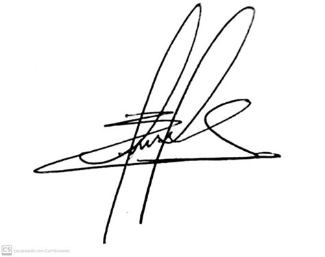 Image result for Signature Page Layout Example