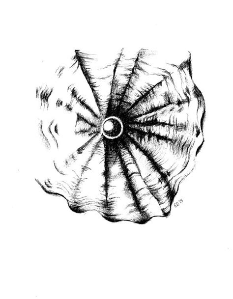 Image result for Pen Shell Drawing