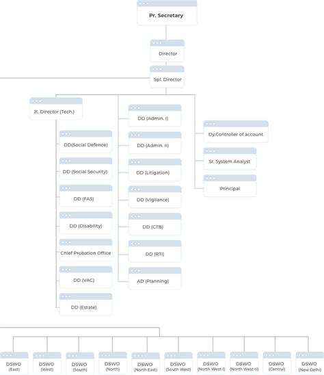 Organization Chart | Social Welfare/Rehabilitation Services