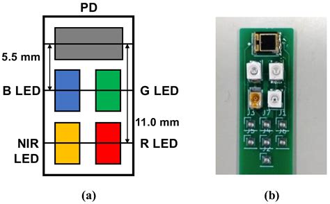 Investigation of Optimal Light Source Wavelength for Cuffless Blood ...