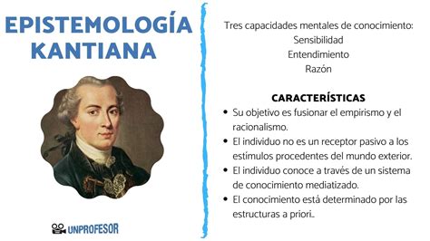 Perspectiva Emic vs Etic: Descubre las Diferencias con Ejemplos - CFN