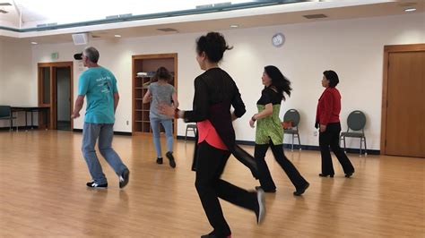 Image result for Line Dance Tutorial for Beginners