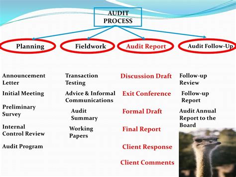 Image result for Internal Audit Program Template