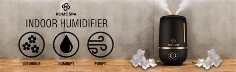 Dr.Trust Cool Mist ABS Humidifier & Ultrasonic Aroma Essential Oil ...