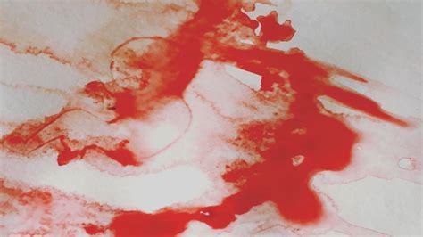 বাঙালি মধ্যবিত্ত...