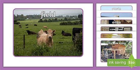 Farm Animal Homes Photo Pack (teacher made) - Twinkl