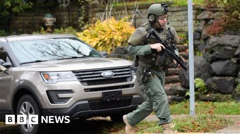 Image result for Apollo Bug