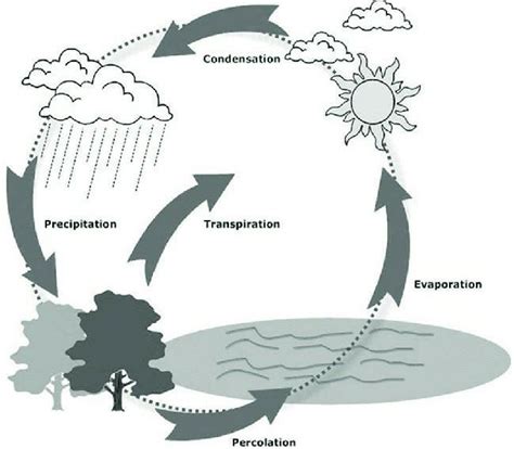 ☆GEOGRAPHY REVISION 1. Draw the diagram of water cycle in your home ...