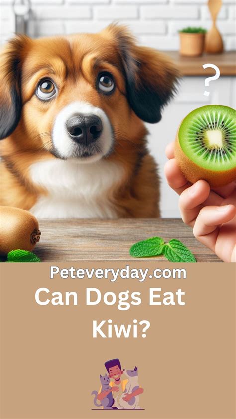 Can dogs eat kiwi pros and cons – Artofit