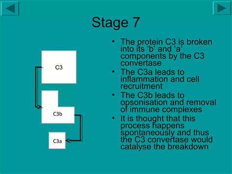 Image result for Complement System Animation