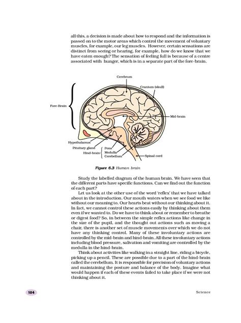 Image result for Class 10 Chapter 6 Science