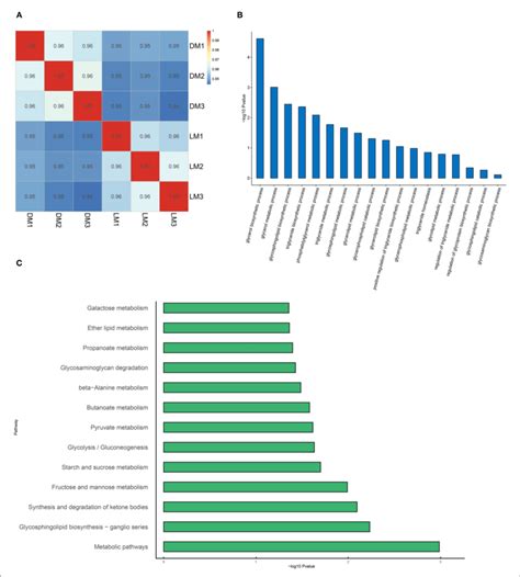 Image result for Transcriptome Analysis
