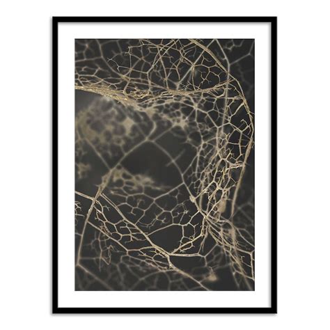 Leaf Skeleton Dark – Calcuttan