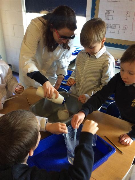 Primary School Science 的图像结果