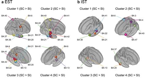 Neural Coupling between Interhemispheric and Frontoparietal Functional ...
