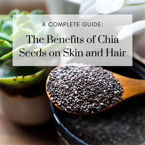 Benefits Of Chia Seeds Estrogen at Rosemary Henry blog