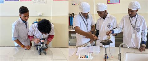 Tilak Maharashtra Vidyapeeth