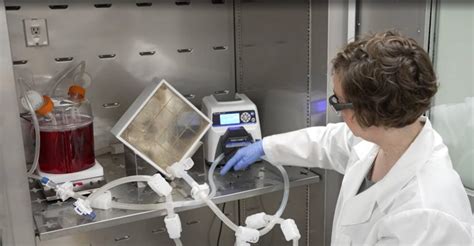 Cell Culture System | Corning CellCube Culture System | Corning