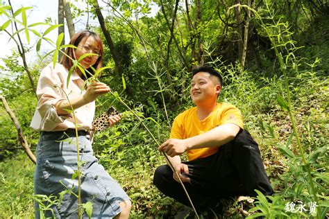 穿越秦岭 美食之旅-西安旅游攻略-游记-去哪儿攻略