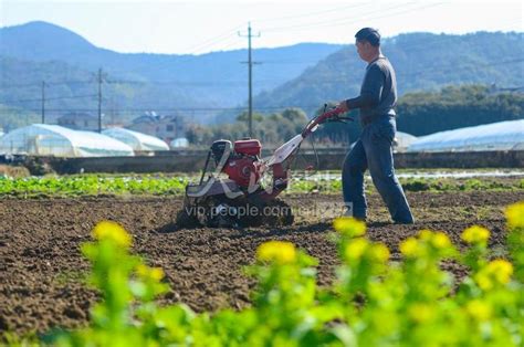 人勤春来早丨农技人员深入田间地头 特色种植助农增收致富_手机新浪网